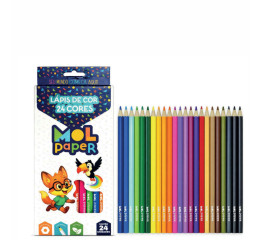 LAPIS DE COR 24 CORES C/6 MR266